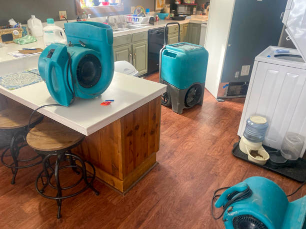 Best Residential water damage restoration  in Coolidge, AZ