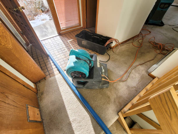 Best Commercial water damage restoration  in Coolidge, AZ