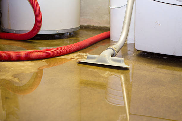 Best Water damage restoration services  in Coolidge, AZ