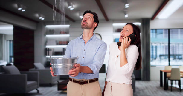 Best Local water damage restoration  in Coolidge, AZ