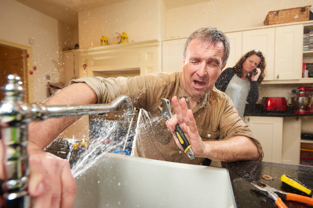 Best Carpet water damage restoration  in Coolidge, AZ